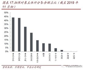 透過城投和非國(guó)企債擔(dān)保解析擔(dān)保公司 專業(yè)擔(dān)保公司信用風(fēng)險(xiǎn)跟蹤 一