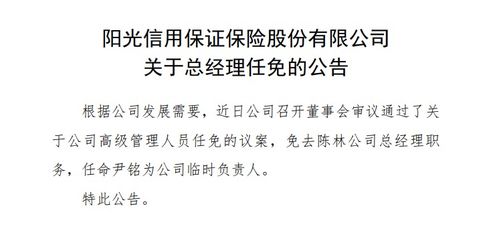 尹銘出任陽光信保臨時負責人 曾任螞蟻副總裁