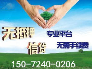 陽邏信用借貸公司 信用擔(dān)保服務(wù)解析