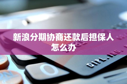 新浪分期協(xié)商還款后，信用擔保人如何應對與解除擔保責任？